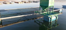 Alimentador solar TR 3 x 6 