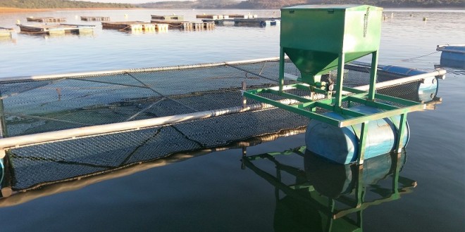 Alimentador solar TR 3 x 6 