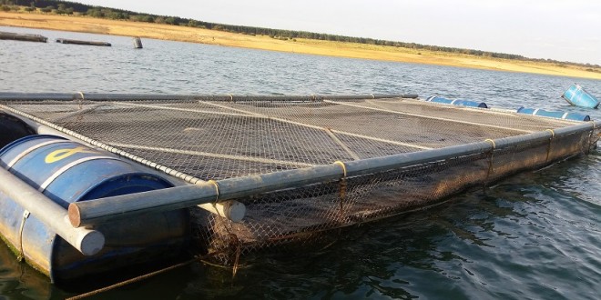 Gaiolas 3 x 6 