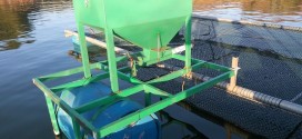 Alimentador solar 100kg