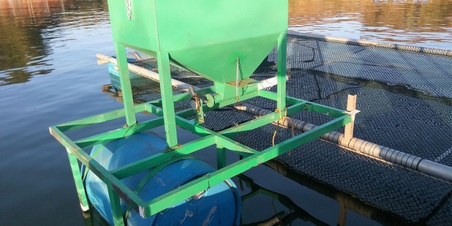 Alimentador solar 100kg